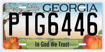 GA license plate PTG6446