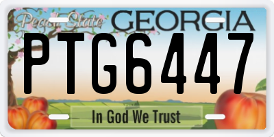 GA license plate PTG6447