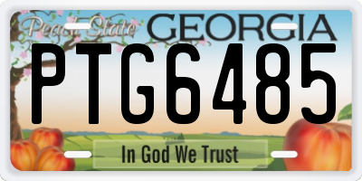GA license plate PTG6485