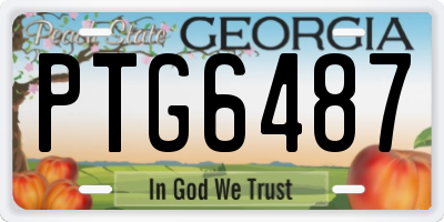 GA license plate PTG6487