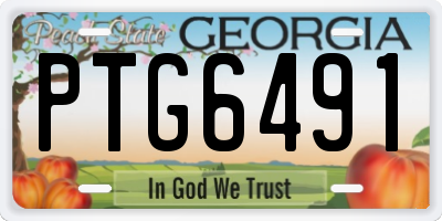 GA license plate PTG6491
