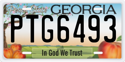 GA license plate PTG6493