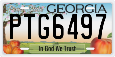 GA license plate PTG6497