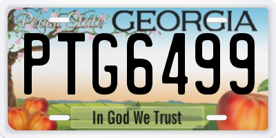 GA license plate PTG6499