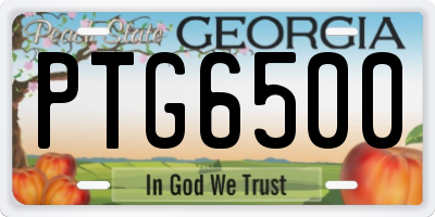 GA license plate PTG6500