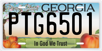 GA license plate PTG6501