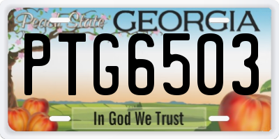 GA license plate PTG6503