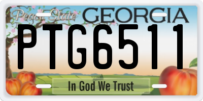 GA license plate PTG6511