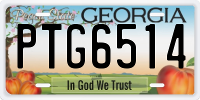GA license plate PTG6514