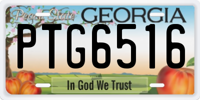GA license plate PTG6516