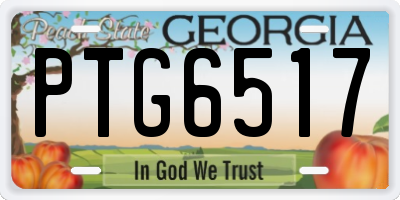 GA license plate PTG6517