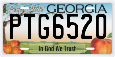 GA license plate PTG6520