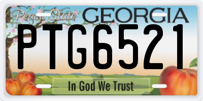 GA license plate PTG6521