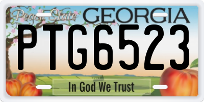 GA license plate PTG6523