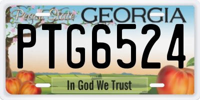 GA license plate PTG6524