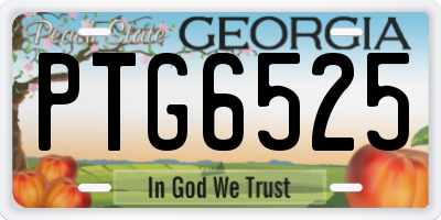 GA license plate PTG6525