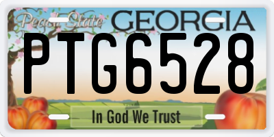 GA license plate PTG6528