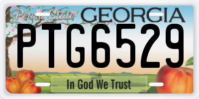 GA license plate PTG6529