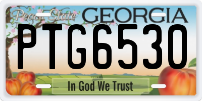 GA license plate PTG6530