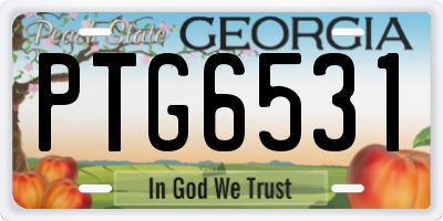 GA license plate PTG6531