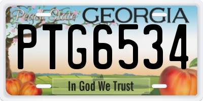 GA license plate PTG6534