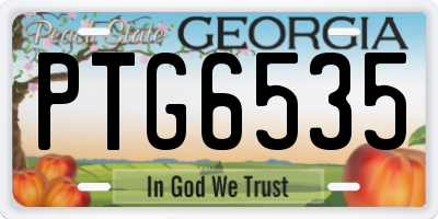 GA license plate PTG6535