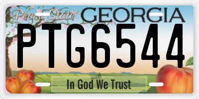 GA license plate PTG6544