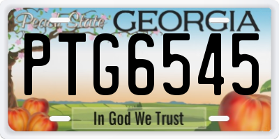 GA license plate PTG6545