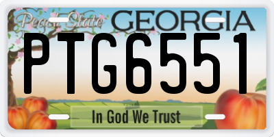 GA license plate PTG6551