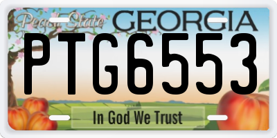 GA license plate PTG6553