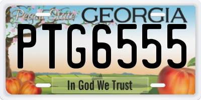 GA license plate PTG6555