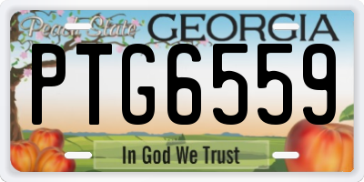 GA license plate PTG6559