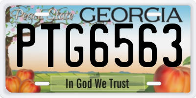 GA license plate PTG6563