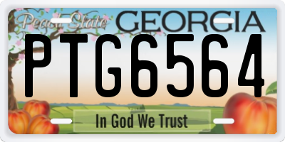 GA license plate PTG6564