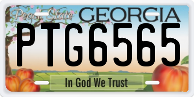 GA license plate PTG6565