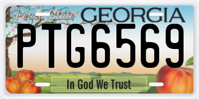 GA license plate PTG6569