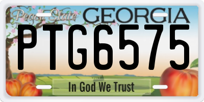 GA license plate PTG6575