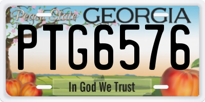GA license plate PTG6576