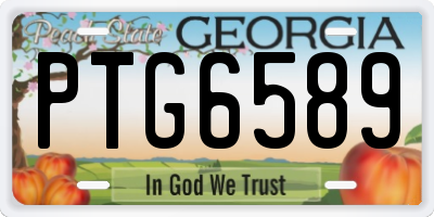 GA license plate PTG6589