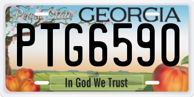 GA license plate PTG6590