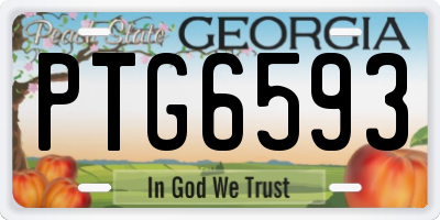 GA license plate PTG6593