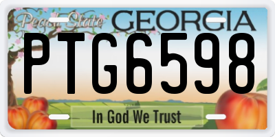 GA license plate PTG6598