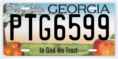GA license plate PTG6599