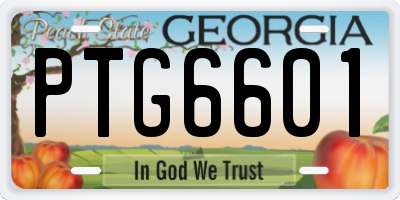 GA license plate PTG6601