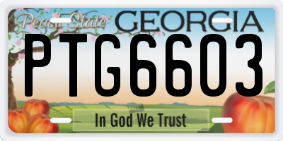 GA license plate PTG6603