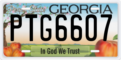 GA license plate PTG6607
