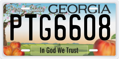 GA license plate PTG6608