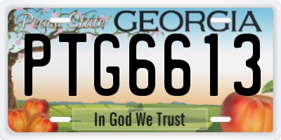 GA license plate PTG6613