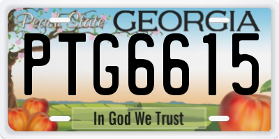 GA license plate PTG6615