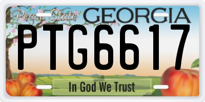 GA license plate PTG6617